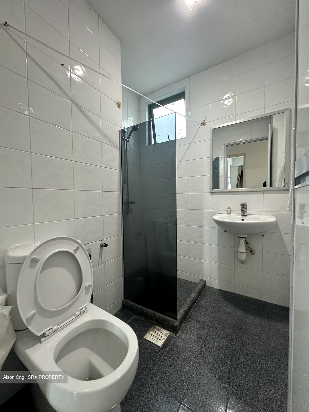 Ever Lodge (D14), Apartment #487840651